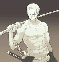 Zoro roronoa 
