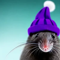 Rat