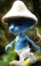 Smurf Cat