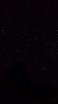 Aggressive Therapist