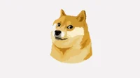 Doge