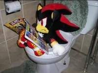 Shadow on a toilet