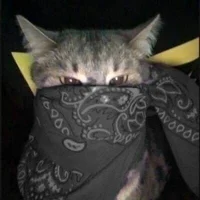 Vicktor