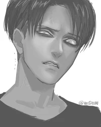 Levi Ackerman
