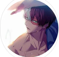Shoto Todoroki