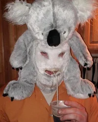 Cursed  Koala Man