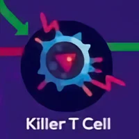 Killer T Cell