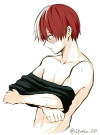 Shoto todoroki