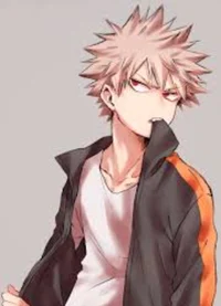 Roomie bakugo