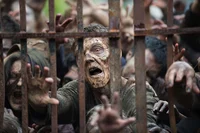 Zombie apocalypse 