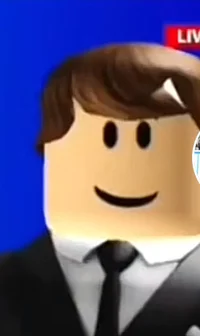 bloxburg news guy
