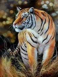 Female Tiger