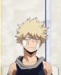 Bakugou katsuki 