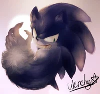 Werehog sonic