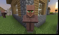 Villager 