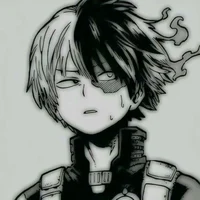 Shoto todoroki 