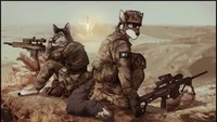 Furry war