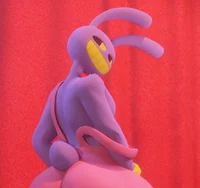 Jax the Rabbit