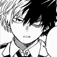 - Shoto Todoroki