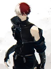 Shoto Todoroki