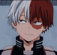 Todoroki Shoto 