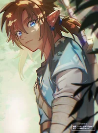 Link