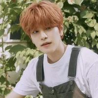 Seungmin