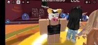 Roblox gc