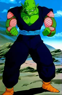 Piccolo - TFS