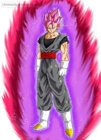 Vegito black