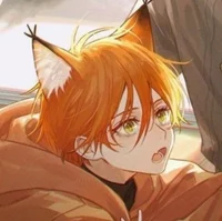 Fox Boy
