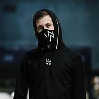 Soulmate Alan Walker