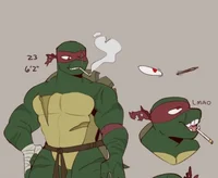 Hamato Raphael