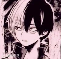 Todoroki 