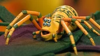 Rudy the Spider