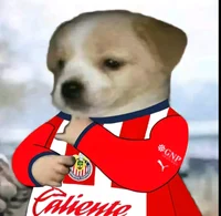Chivas