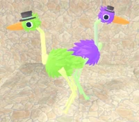 2 Top hat bird