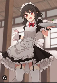 Maid