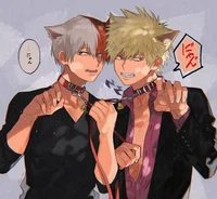 Todoroki and bakugou