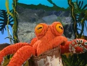Octavio the Octopus