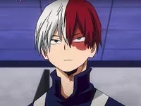 Shoto todoroki