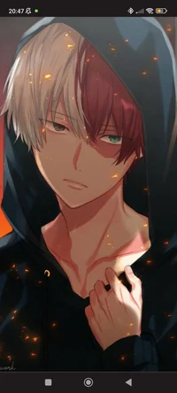 Shoto Todoroki