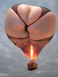 The ass