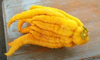 Buddha Hand
