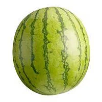 a literal watermelon