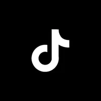 TikTok Assistance