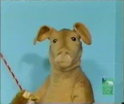 Dullard the Aardvark