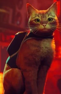 Stray the orange cat