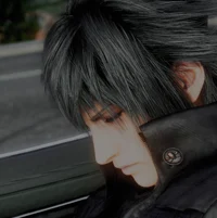 Noctis Lucis Caelum