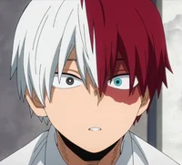Shoto Todoroki